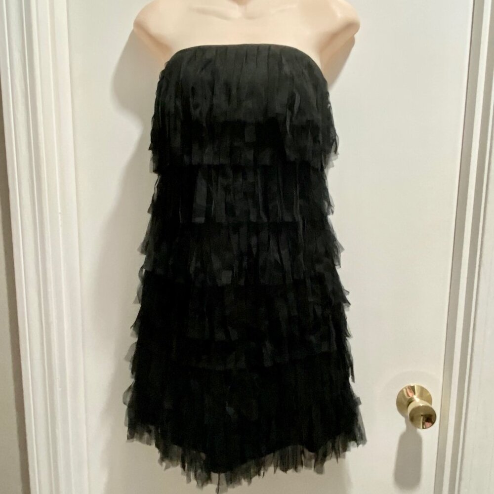 10) Ann Taylor Whimsigoth Grunge Flipper 20s Fringes Sheer Mesh Mini Dress 2